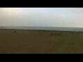 Webcam Cavallino-Treporti