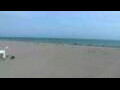 Webcam Cavallino-Treporti