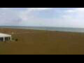 Webcam Cavallino-Treporti