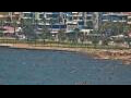 Webcam Vlora
