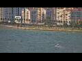 Webcam Vlora