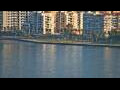 Webcam Vlora
