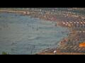 Webcam Vlora
