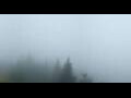 Webcam Leutasch