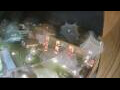 Webcam Niederdorf