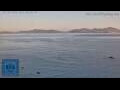 Webcam Vigo