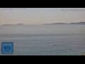 Webcam Vigo