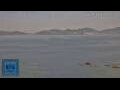 Webcam Vigo