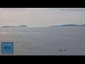 Webcam Vigo