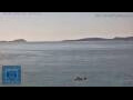 Webcam Vigo
