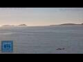 Webcam Vigo