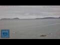 Webcam Vigo