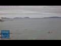 Webcam Vigo