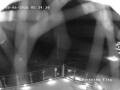 Webcam Grand Bend