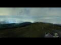Webcam Nods