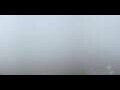 Webcam Nods