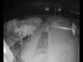 Webcam Langebaan