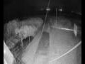 Webcam Langebaan