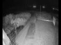 Webcam Langebaan