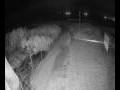 Webcam Langebaan