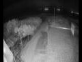 Webcam Langebaan