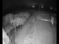 Webcam Langebaan