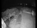 Webcam Langebaan