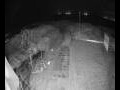 Webcam Langebaan