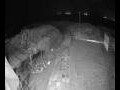 Webcam Langebaan