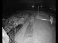 Webcam Langebaan