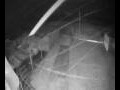 Webcam Langebaan