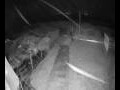 Webcam Langebaan