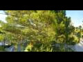 Webcam Saint-Raphaël