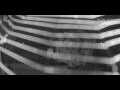 Webcam Berlino