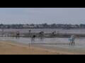 Webcam Saint-Michel-Chef-Chef