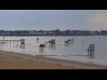 Webcam Saint-Michel-Chef-Chef