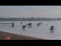 Webcam Saint-Michel-Chef-Chef