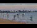 Webcam Saint-Michel-Chef-Chef