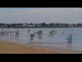 Webcam Saint-Michel-Chef-Chef
