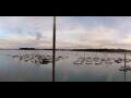 Webcam Dinard