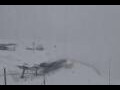 Webcam Riffelalp