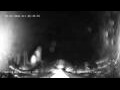Webcam Brighton