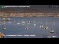 Webcam Las Palmas de Gran Canaria