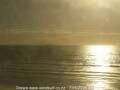 Webcam Orewa