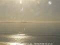 Webcam Orewa