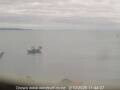 Webcam Orewa