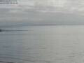 Webcam Takapuna
