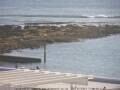 Webcam Takapuna