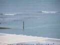 Webcam Takapuna
