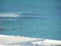 Webcam Takapuna